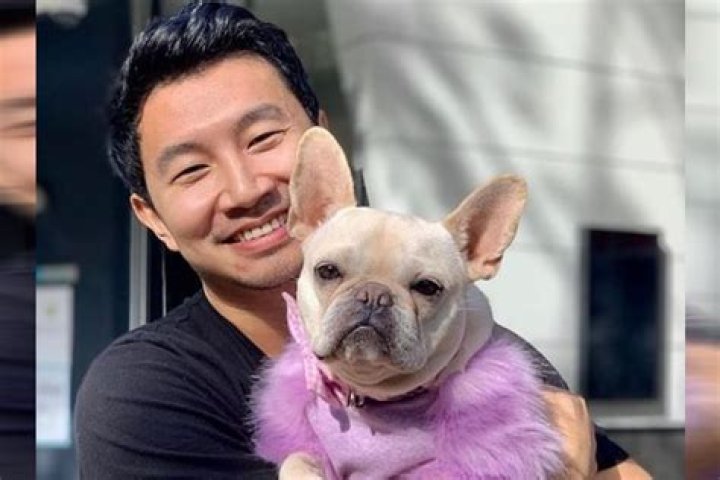 Having Been With Many Girls In Kim’s Convenience, Who Is Simu Liu’s Girlfriend In Real Life?