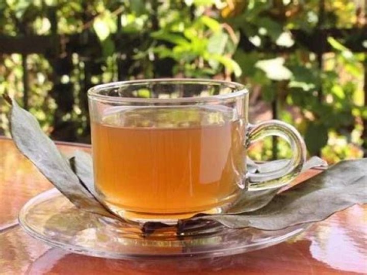 How to make soursop leaves tea and why you should drink it