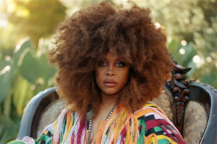 Is Erykah Badu Pregnant 2023? Weight Gain And Baby Bump