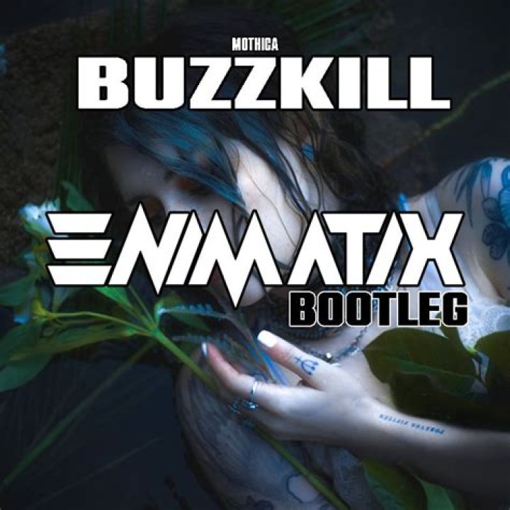 Lyrics & Translations of Buzzkill by Mothica