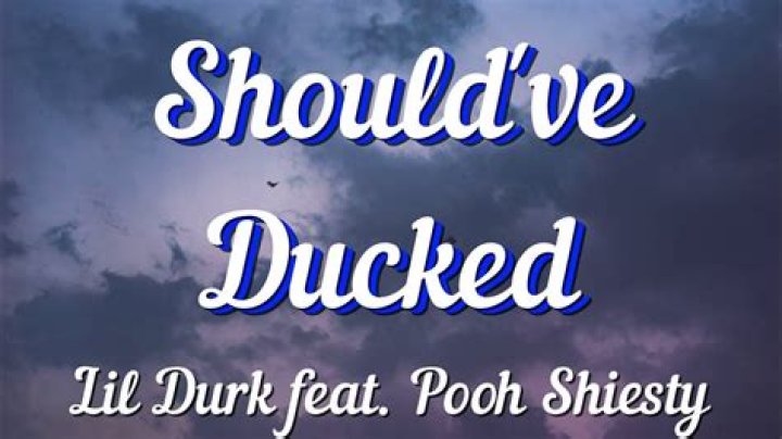 Lyrics & Translations of Should've Ducked by Lil Durk & Pooh Shiesty