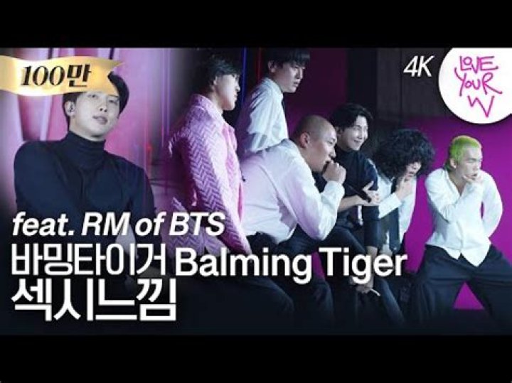 Lyrics & Translations of Sos by Balming Tiger