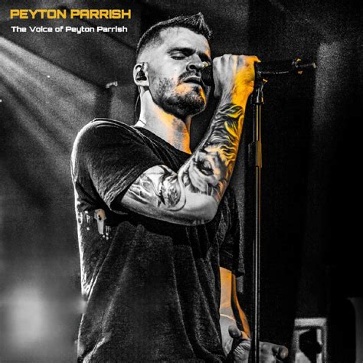 Peyton Parrish's Most Popular Songs Chart