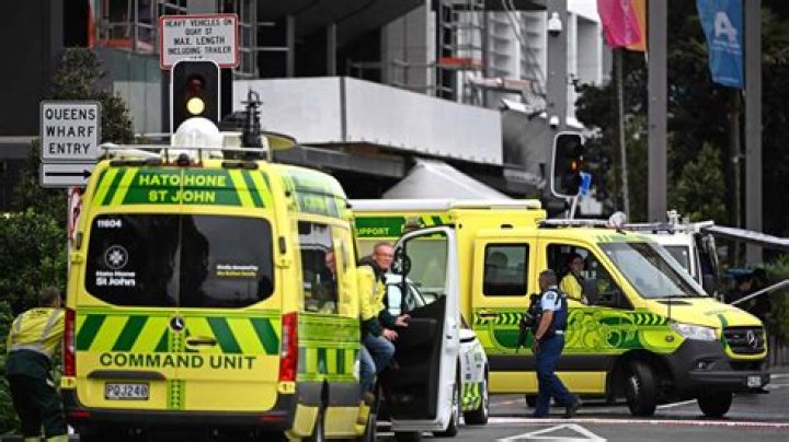 Who Is Matu Tangi Matua Reid? Auckland Shooting Suspect Wikipedia